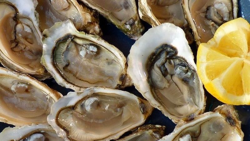 Oysters are a beloved delicacy