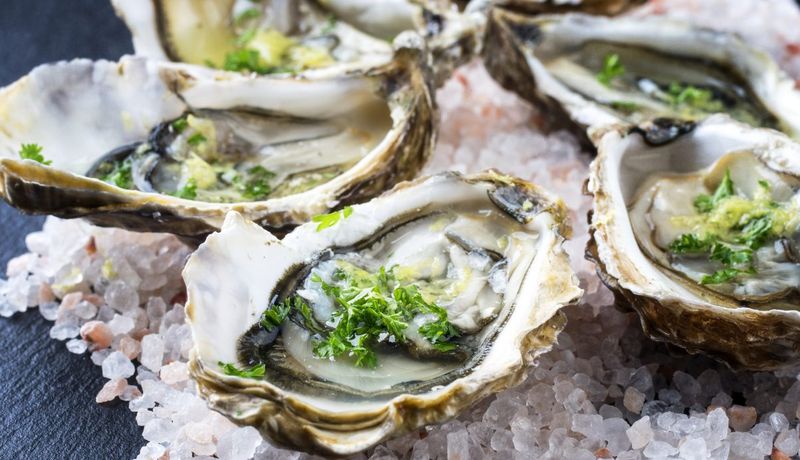 Oysters are a beloved seafood delicacy