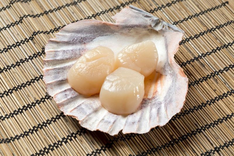 How to buy the best scallops for cooking