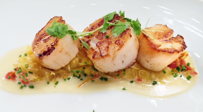 cook delicious scallop dishes