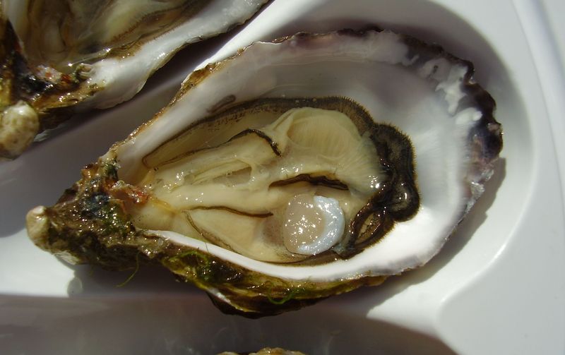 Nutritional value oysters 