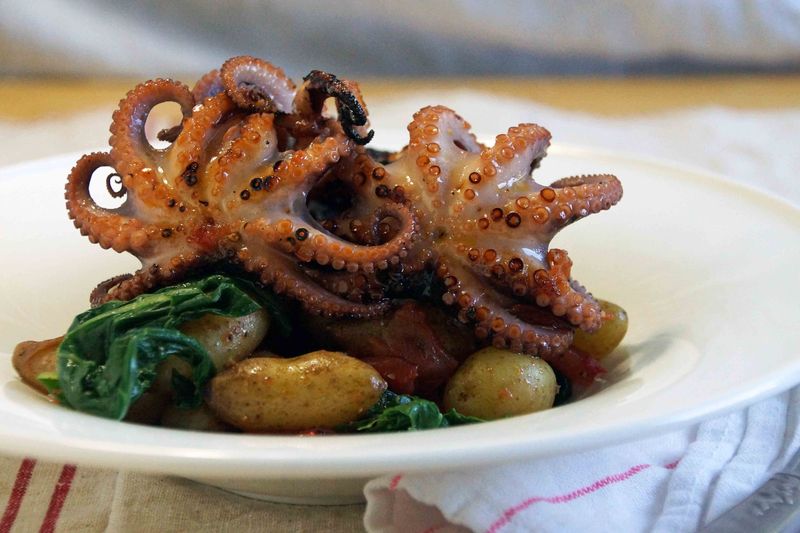 nutritional benefits of eating octopus